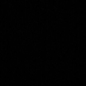 Meet your Posher, Allie